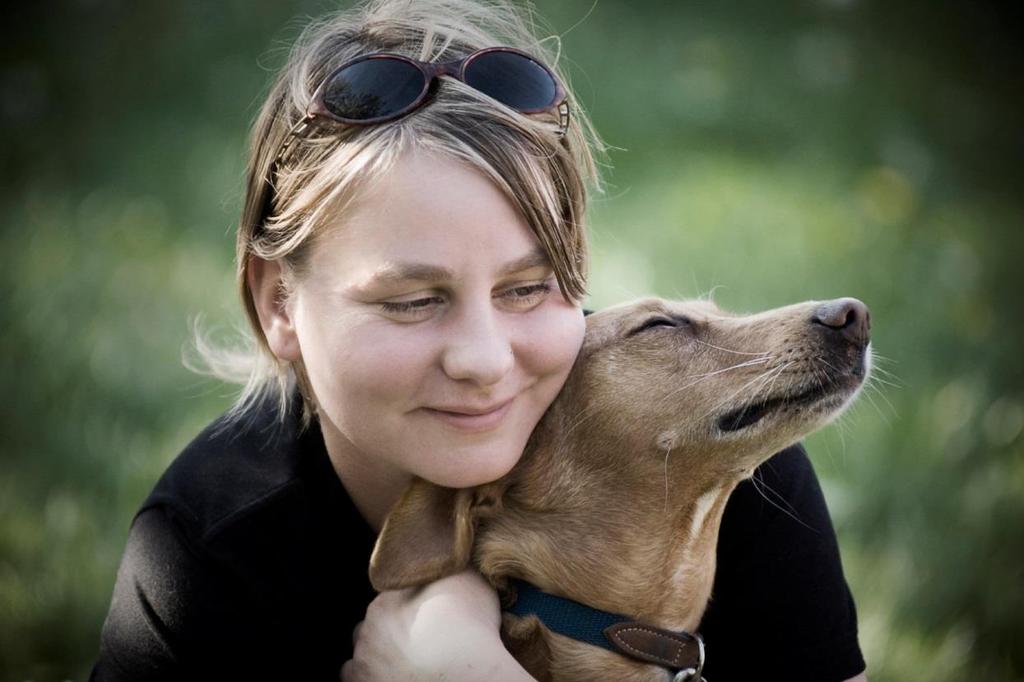 Pet and Women Safety Act (PAWS) This bill would amend the Violence Against Women Act to include protections for pets, and provide grants to domestic violence shelters to accommodate pets, so that