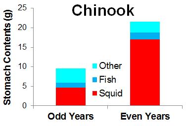 odd-yrs, 56% decline in Chinook stomach