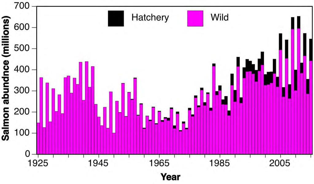 Pink Salmon Dominate Pacific Salmon Numbers 650 million pink salmon in peak odd-yrs Hatchery pinks = 15% of