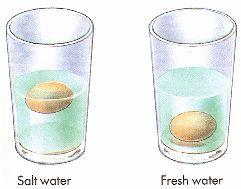 Salt water weighs more than fresh water, so it exerts a greater upward force on a submerged object.