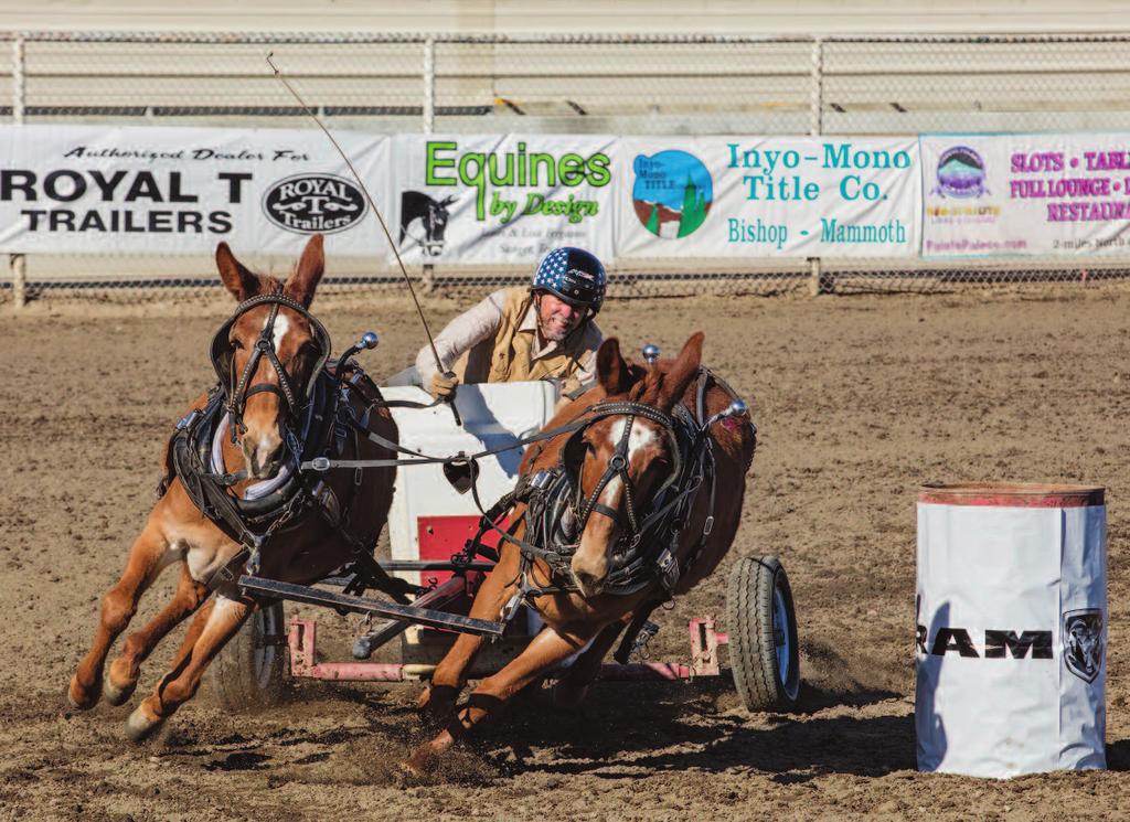 What drives one to compete in chariot racing? Is it the cutthroat rivalry among the competitors that show up annually to strut their stuff? Is it the flashy, handmade chariots?