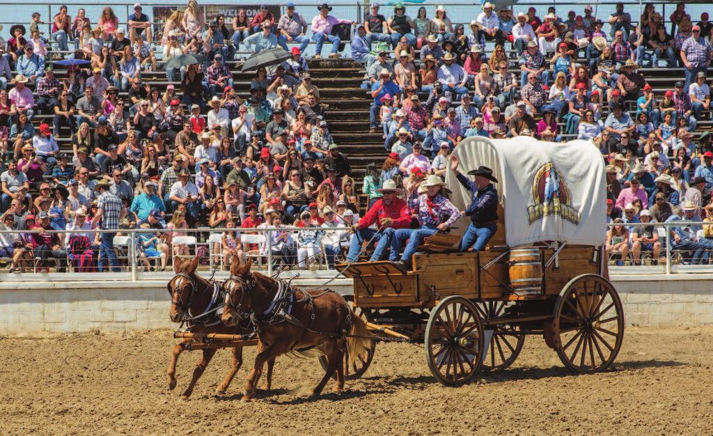 Oakdale Rodeo - Ralph also pulls the Reno Rodeo Chuckwagon at seven parades/rodeos and gives hayrides at the Special Kids Rodeo.