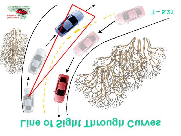 Topic: 2 Lesson: 2 Intersections, Curves, and Hills Knowledge and Skills The student is expected to describe vision, motion, and steering control as they relate to entering and exiting a curve and