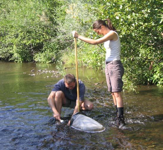 WATER QUALITY MONITORING Since 2001, the Watershed Council s Water Quality Monitoring Program has been collecting, analyzing and distributing information about the status and health of the rivers in