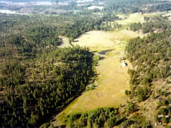 In 2005, the Watershed Council and the Land Trust joined with the Deschutes National Forest to develop a comprehensive stream restoration plan.