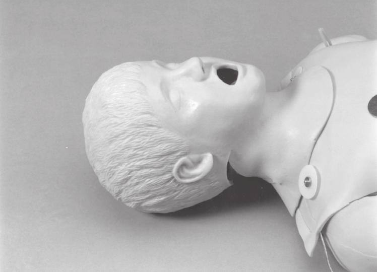 THE AIRWAY MANAGEMENT TRAINER About the Simulator: The Life/form Child Airway Management Trainer Head is the most realistic simulator available for the training of intubation and resuscitation skills.
