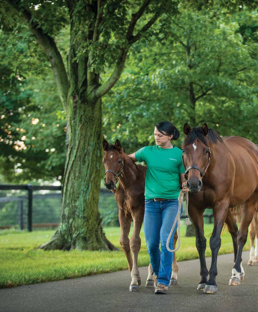 COMMITMENT TO QUALITY Juddmonte Farms
