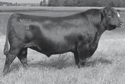 Commercial Cow/Calf Pairs AI Date Estimated Calving Date 04/28/2016 02/01/2017-02/06/2017 Natural Sire - Mr RF All Business Estimated Calving Date 05/05/2016 02/11/2017-04/08/2017 A supplement will