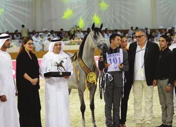 In the category of three-year-old colts, the top place was won by the multiwinner FA El Rasheem (Fa El Shawan x Virtuosa MLR) owned by