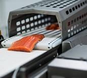 Fish processors feedback 12 By September 2014, most Russian fish processing companies have successfully