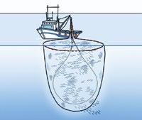 hook and line (handline, jig, troll): Have far fewer hooks per line than longlines. Minimal seafloor damage and low bycatch rates.