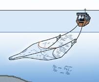 Habitat damage varies, but traps to make contact with the seafloor, causing disturbance, especially during hauling when they may be dragged.