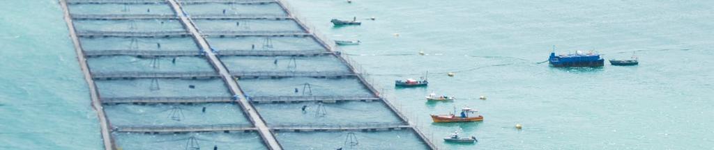 Sustainability considerations for farmed seafood Important factors in the production of sustainable farmed seafood, or aquaculture, are to use methods that do not harm wild fish or damage ecosystems,