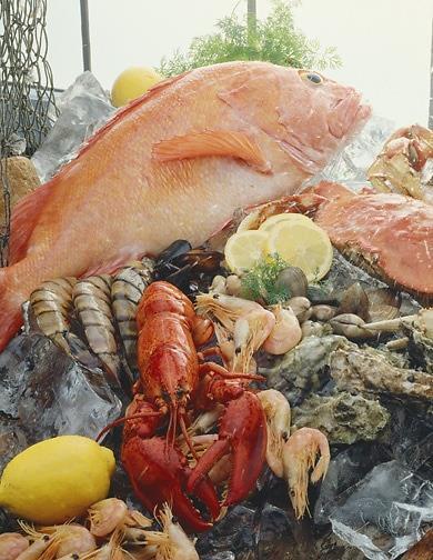 Seafood includes freshwater and saltwater: Fish Molluscan