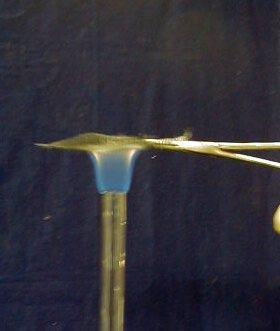 While one person discharges the methane-filled syringe through the burner tube, a second person holds the screen and ignites the gases above the screen.