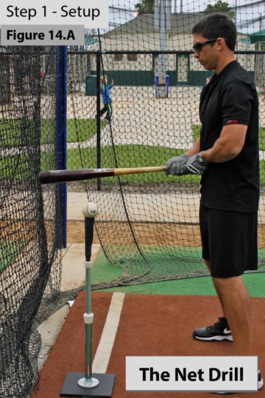 Checkpoints Use these checkpoints to make sure you are getting the most benefit from this drill. Hit line drives up the middle to the pull side of the cage without hitting the net.