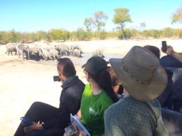 Through fieldbased, experiential learning opportunities in the Okavango Delta & Kalahari Basin Ecosystems, the aim of the course is to train future conservationists in understanding and applying
