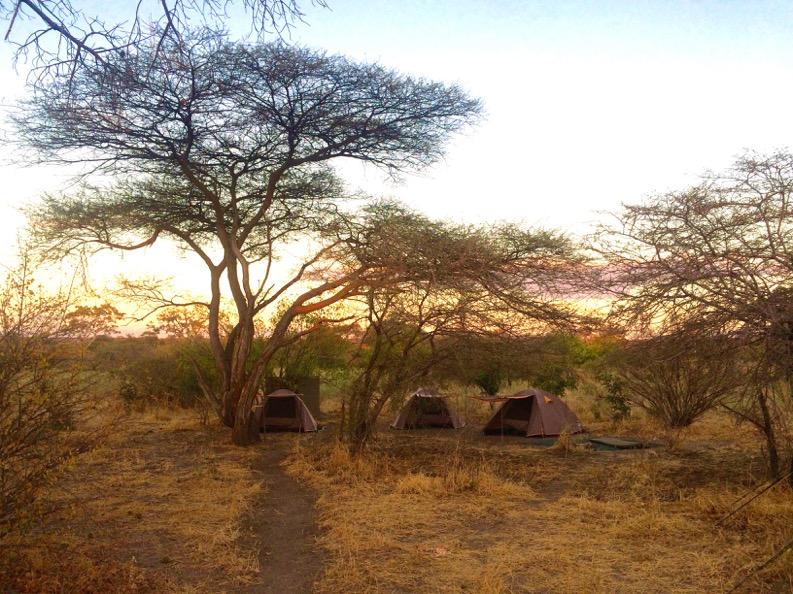 Field Sites & Accommodation MAUN On arrival into Maun, Botswana, student s will stay at a gated campsite in twin dome tents.