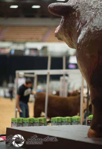 After supervising the record-breaking 2016 Junior National Hereford Expo in Wisconsin, he loaded up and made