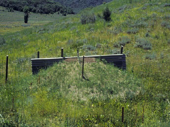 game fenced highways is a very cost-effective way to further reduce deer mortalities along roadways.