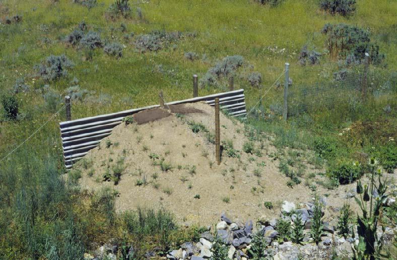 Earthen escape ramps are an alternative to one-way steel gates (Photo 3). They have been used in Wyoming, but their effectiveness has not been tested.