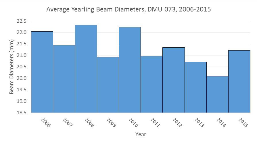 Licensed Hunters Figure 4. Graph of average yearling beam diameters for DMU 073, 2006-2015.