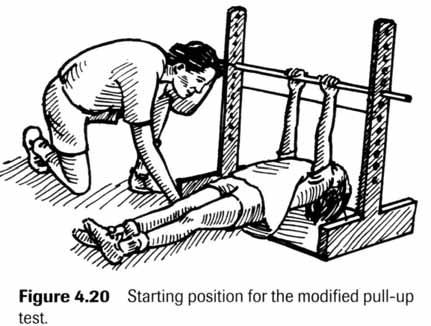 MODIFIED PULL-UP FITNESS TEST Upper Body Strength Test Option 2 OBJECTIVE INSTRUCTIONS SCORING Complete as many modified pull-ups as possible.