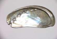 Photographs Clam shell Located on