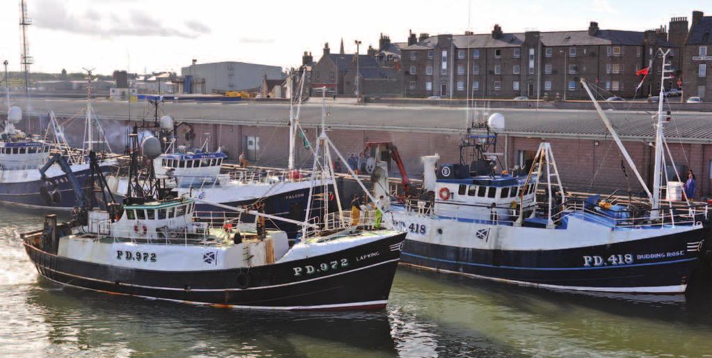 Fisheries Management and Conservation Group In 2008, Scotland embarked upon an new way of managing its fisheries within the context of the EU management regime.