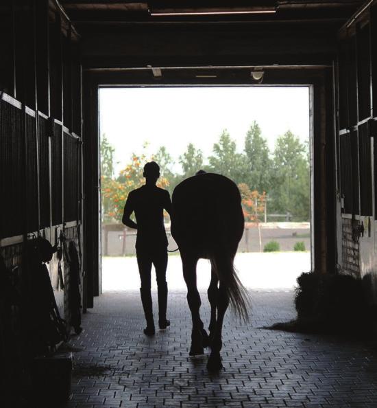 Without biologically effective lighting that mimics daylight, a horse s internal clock can become depressed or out of sync, leading to impaired growth and performance.