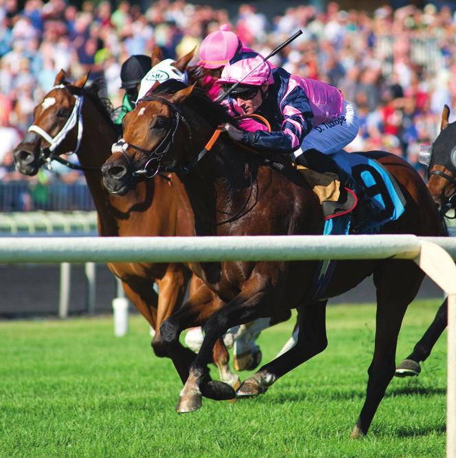 ARLINGTON STAKES GUIDE by Alastair Bull RACE 7 SECRETARIAT STAKES G1, 3yos, 1 ¼ miles, Turf Breeders Cup Juvenile Turf winner Oscar Performance confirmed he was back to his best in the Belmont Derby,