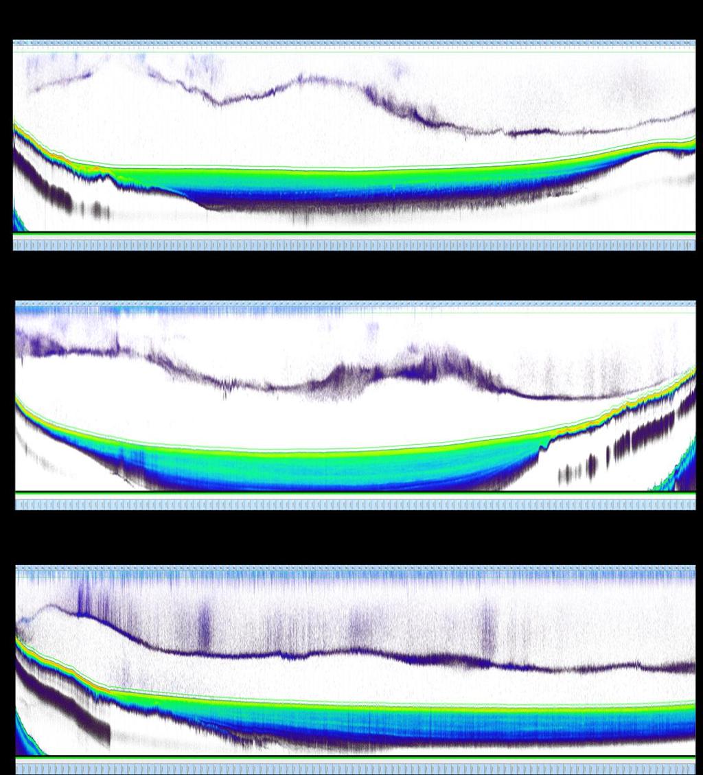 Figure 3.2.7. Echogram files generated from Echoview software version 5.