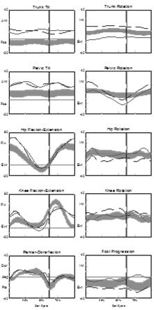 mid-swing Compensation: Increased Transverse Pelvic ROM Sagittal & Transverse Kinematics Compensation: increased transverse plane pelvic range of motion Goal: to increase step length and associated