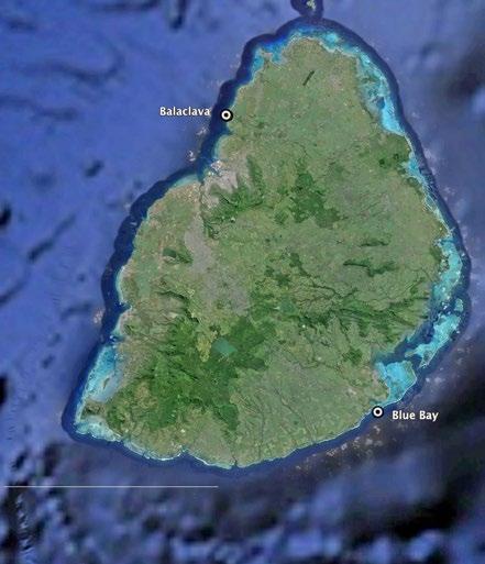15 Distribution of holothurians in the shallow lagoons of two marine parks of Mauritius Abstract Chantal Conand, 1 Yoshi Basant Rai, Mira Davi Hurbungs, Meera Koonjul, Chiranjiwa Naidoo Paupiah, Ravi