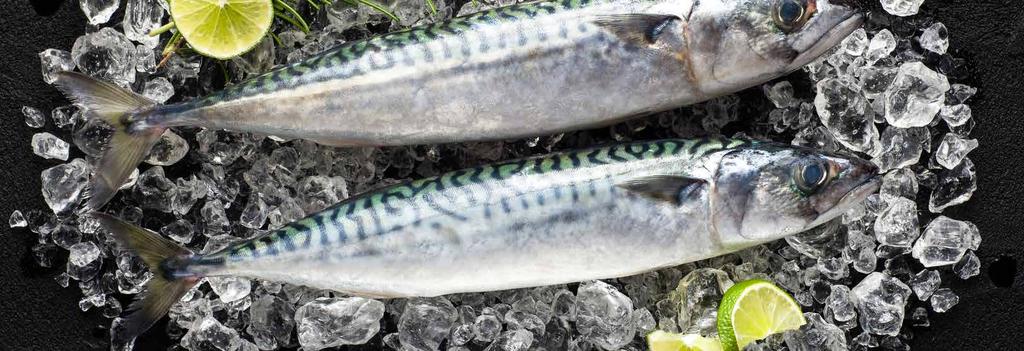 USA Imports Sardines Canned Top three origins Unit: 1 tonnes, January-June 1 8 6 4 2 Poland Ecuador Total imports Source: NMFS Morocco 215 216 217 25 2 15 1 5 The Spanish canning industry is