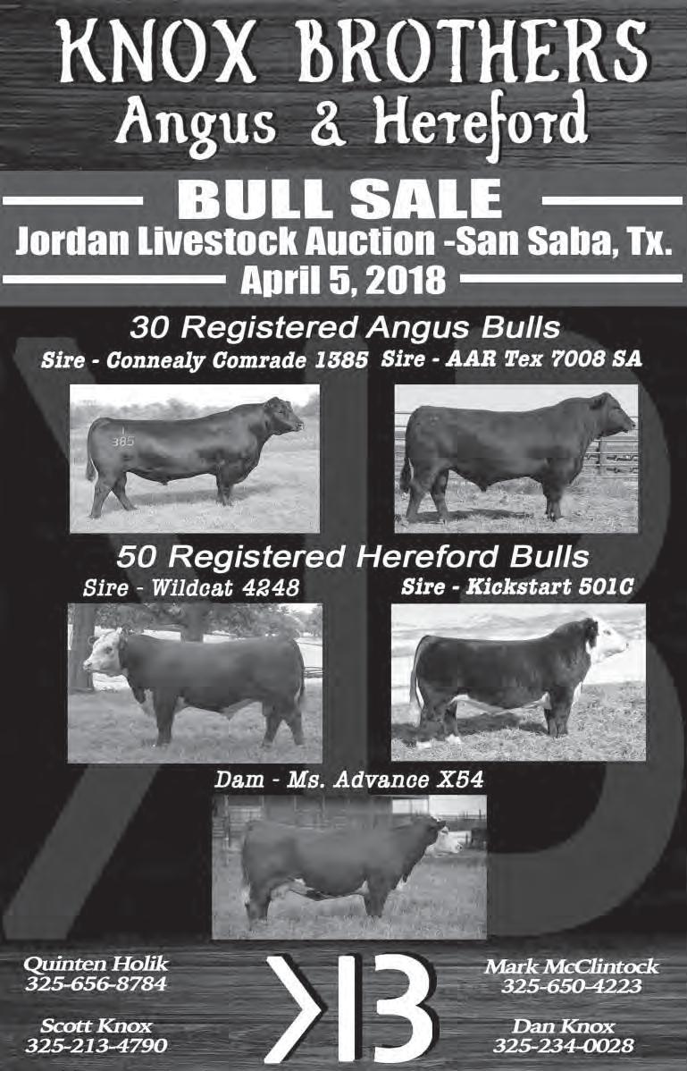 Replacement cows: bred cows, good $1100-1325 per head, plain $800-1025; cowcalf pairs, good $1250-1475 per pair, plain $1100-1225. Joplin Steers Quoted Steady To $3 Lower JOPLIN, Mo.