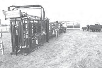 Let Us Help With Your Cull Cows PLANT Andrea Bridges (Buyer) 1-800-510-1609 325-658-5555 325-895-0627 Cell LS LONE STAR BEEF San Angelo, Texas LS S one free-range elk, some freerange mule deer, and