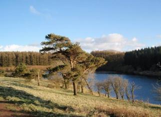There are also some woodland walks striking away from the Reservoir beyond the wooden clad Reservoir house, which we have not explored but which offer some interesting alternatives once you have