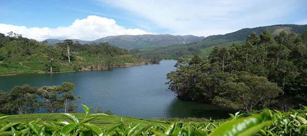 Beauty of Southern Hills 6 Night / 7 Days Ooty, Munnar, Kodaikanal Departure City : Coimbatore Tour Highlights Excursion to Coonoor.