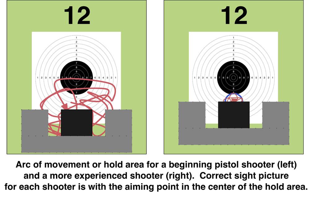 the bottom of the bull (See Sight Picture Concept diagram below). The size of the gap between the front sight and bull depends upon how steady the pistol is held. 2. Hold Area.