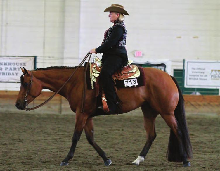 WALK-TROT If you re just getting started in AQHA competition, walk-trot classes just might be the right place for you.