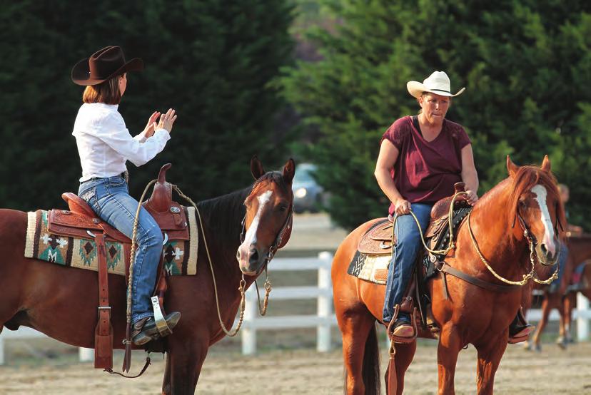 ified trainers who can help you and your horse establish a productive relationship with each other. These AQHA member trainers specialize in preparing you for entering your horse into competitions.