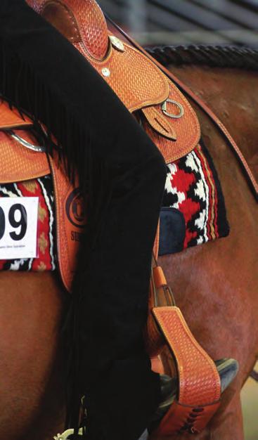 Classes Those who love the American Quarter Horse know that excellence that shows is not an empty phrase it s a fact.