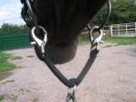 the bit, the lead rope must be attached to a leading vee or bit connector. The bit stays level in the horse s mouth and the leader will have more control of the horse if required.