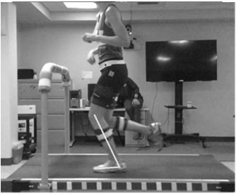 Terminal Swing 2 Normal Running Pelvis/Hip Level pelvis Slight femoral adduction