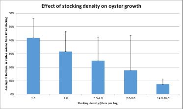 Oyster stocking density in bags Site specific - Rule of Thumb Generally put 4 6 liters (1 1.