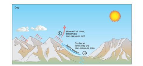 When the Wind Blows Local differences in temperature can also cause winds. Earth s surface heats up at different rates.