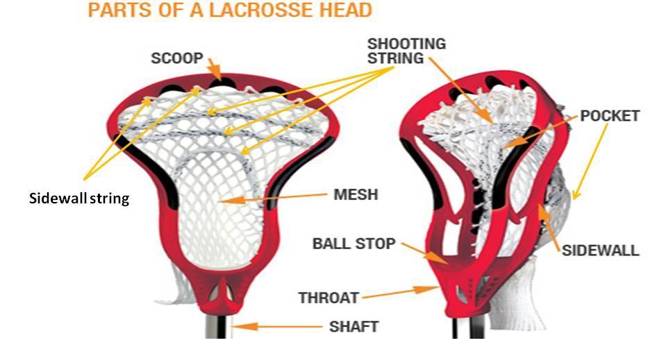 Lacrosse Stick o Attack (short) o D-Pole (Long) Equipment Needed Gloves Helmet Mouth guard Shoulder Pads Throat protector (goalie)