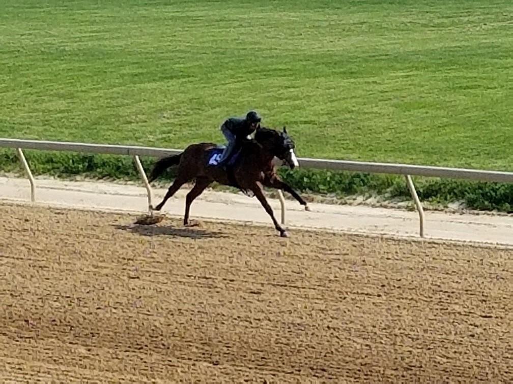 For $35,000, we bought a Maclean s Music filly, who breezes on Thursday, May 17. Last year, her sire broke through with a Preakness winner in Cloud Computing, in his first crop.