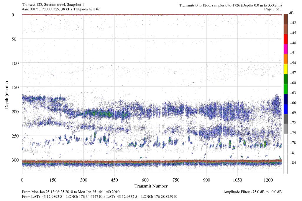 Figure 19: Example of 38 khz acoustic echogram showing bottom schools between 25 and 27 m. This recording was made during trawl 128 which caught 17 t of silver warehou.